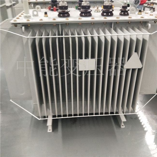巴中S20-800KVA变压器